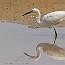 thumbs/IMG_6043.jpg